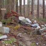 Harvesting near a recreational trail on the Sunshine Coast