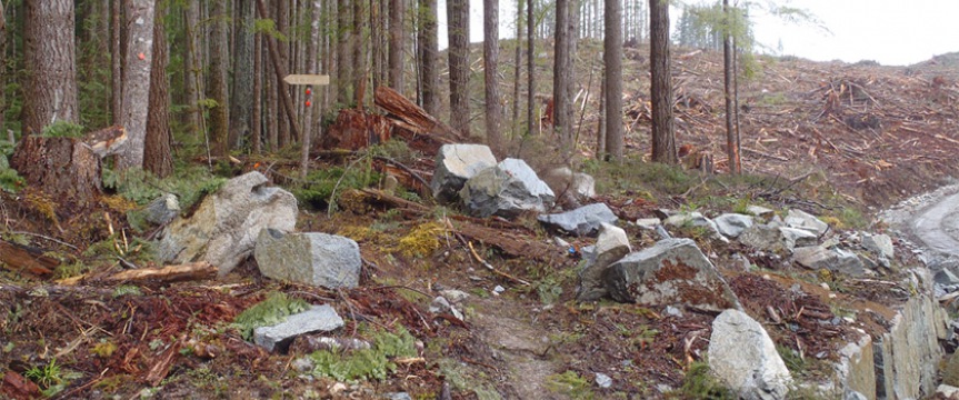 Harvesting near a recreational trail on the Sunshine Coast