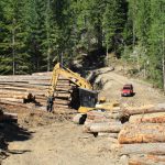 Forest Planning and Development near Begbie Falls