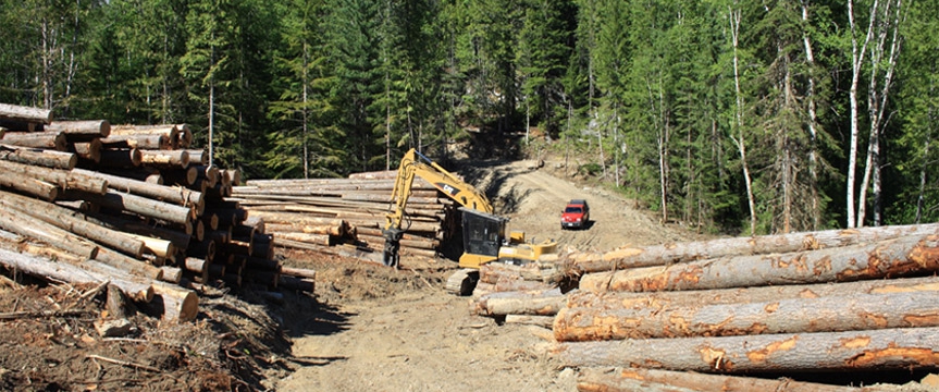 Forest Planning and Development near Begbie Falls