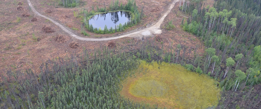 Wetland Leave Zone