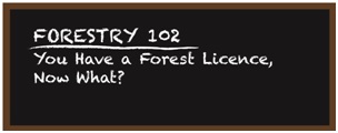 forestry-102