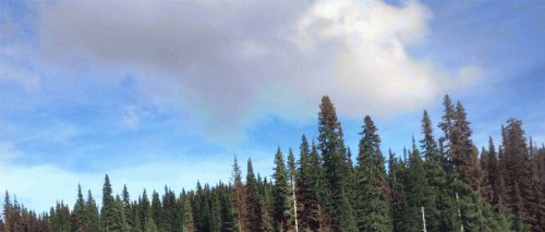 IRC207-Lhtako-Dene-cl