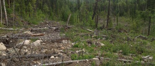 IRC210-deactivated-road-near-Granby-Park