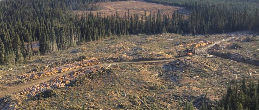 2017-quesnel-ground-based-good-soil