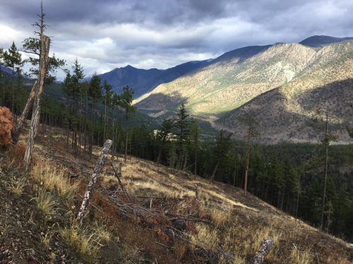 aspen