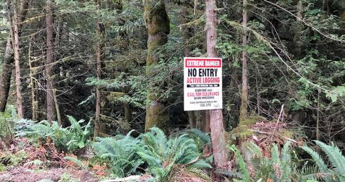 ARC220-Road-Sign-Sechelt-Peninsula