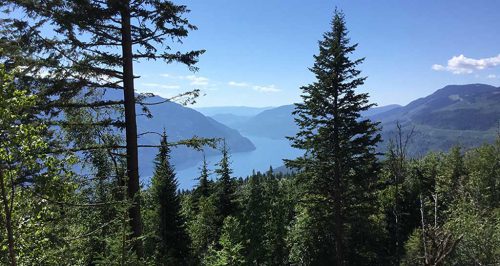 ARC223-Adams-Lake-audit