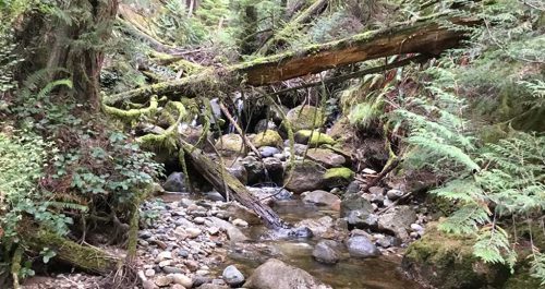 IRC218-Wilson-Creek-near-landslide