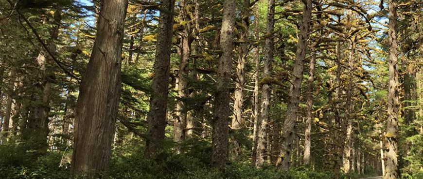 irc220-haida-gwaii