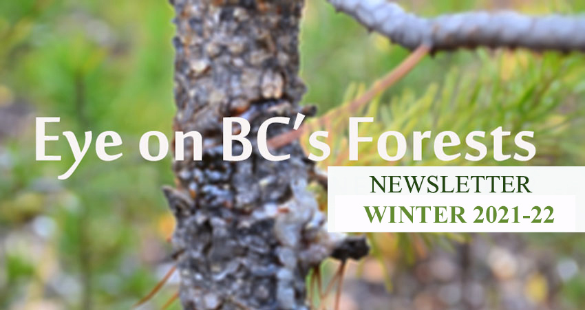 www.bcfpb.ca