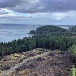 Timber harvesting on Haida Gwaii.