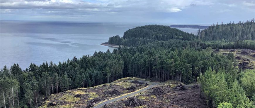 Timber harvesting on Haida Gwaii.