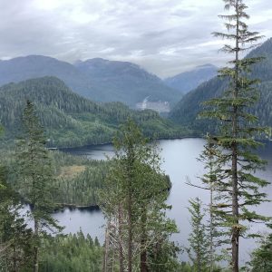 Trees and waterway next to mountains