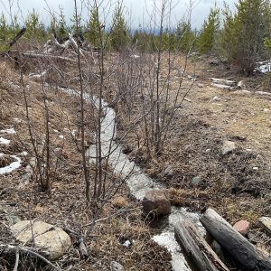 Gardner Creek headwaters