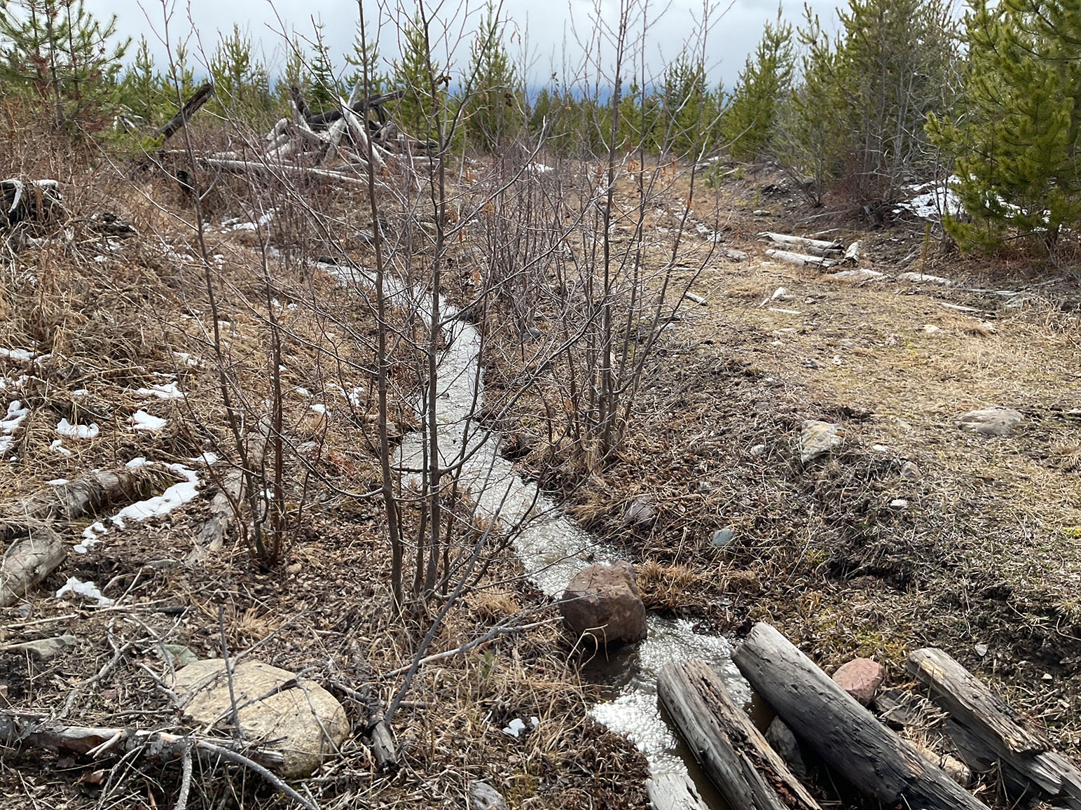 Gardner Creek headwaters