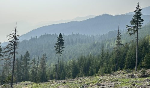 Wildfire smoke over Pemberton area