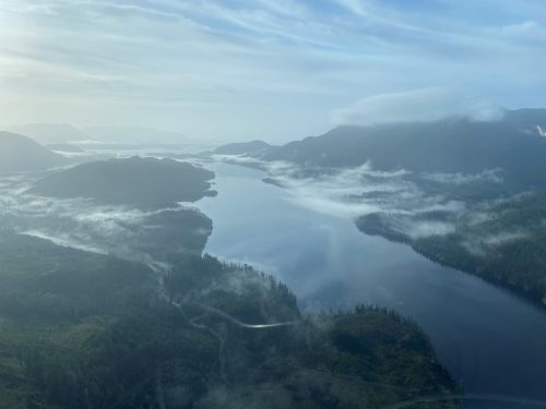 Aerial view of forested valleys and inlets near Port McNeill on Vancouver Island, with morning mist over the water.